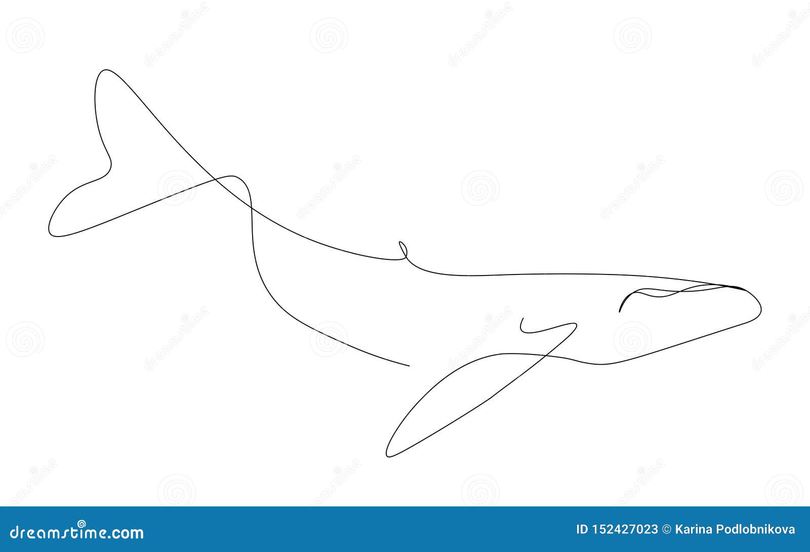 Whale Silhouette One Line Drawing Vector Stock Vector Illustration Of Cartoon Vector 152427023 Before you start to draw killer whale, take a little time to observe this picture well. https www dreamstime com web image152427023