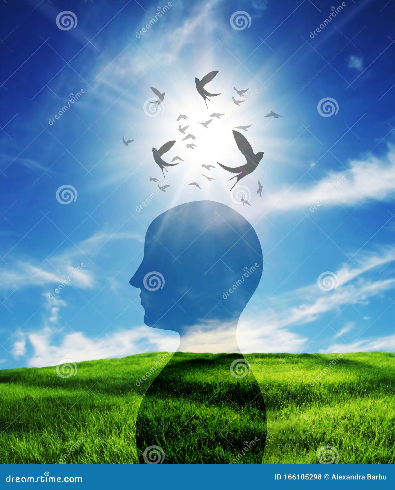 Vejhus Hurtigt Sammentræf Free Thinking, Nourish Your Mind, Positive Thoughts and Good Intentions,  Brain Power Concept Stock Photo - Image of freedom, equilibrium: 166105298