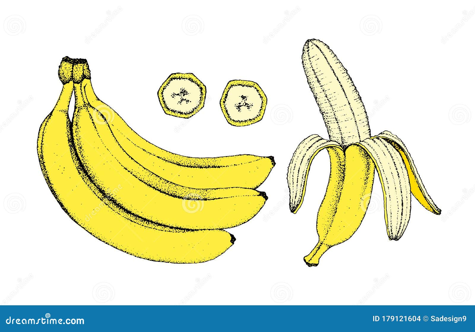Hand Drawn Banana Fruit Set Isolated on White Background. Stock Vector ...