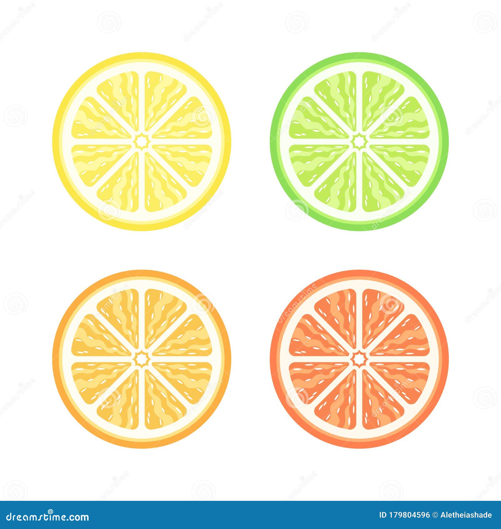 Citrus Fruits Vector Illustration Set Stock Vector - Illustration of ...