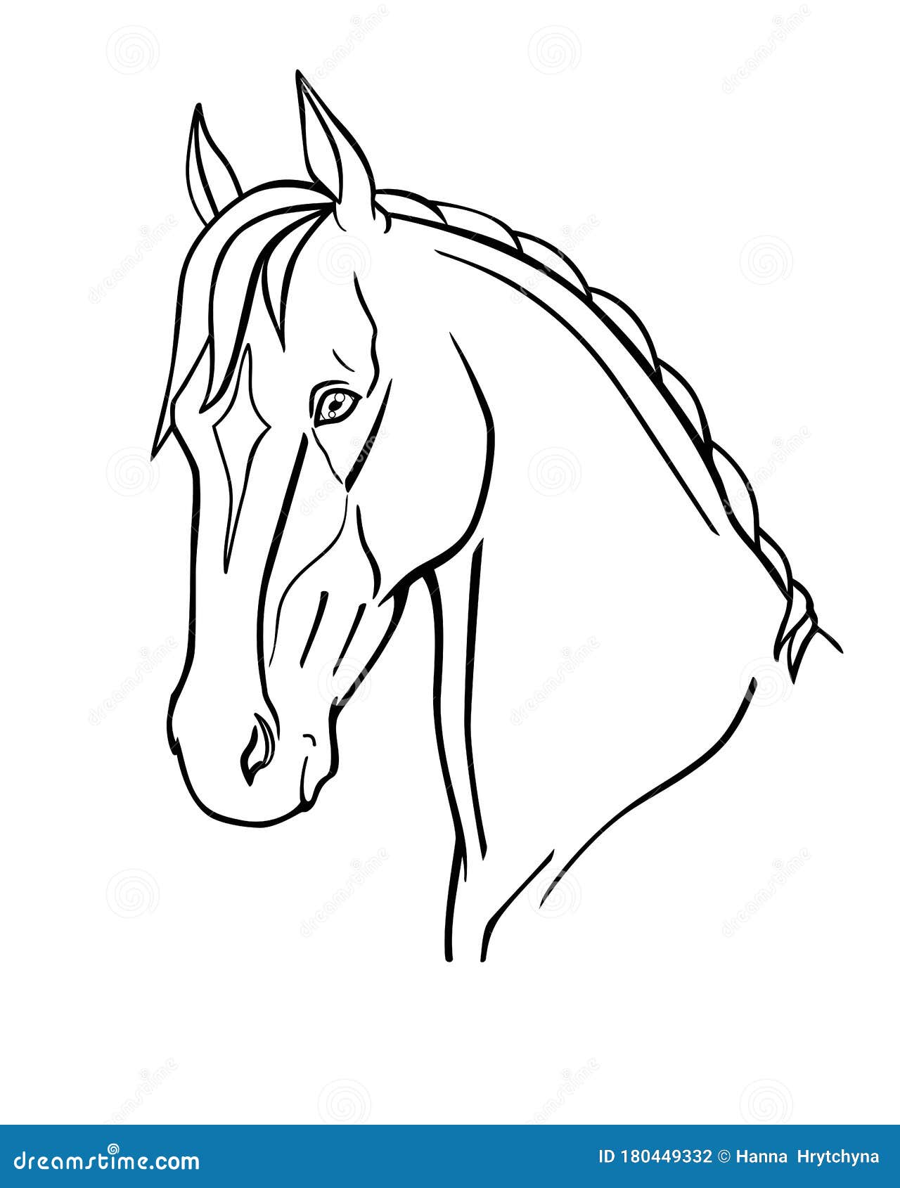 Horse. Graceful AkhalTeke Horse Head Linear Vector Illustration for