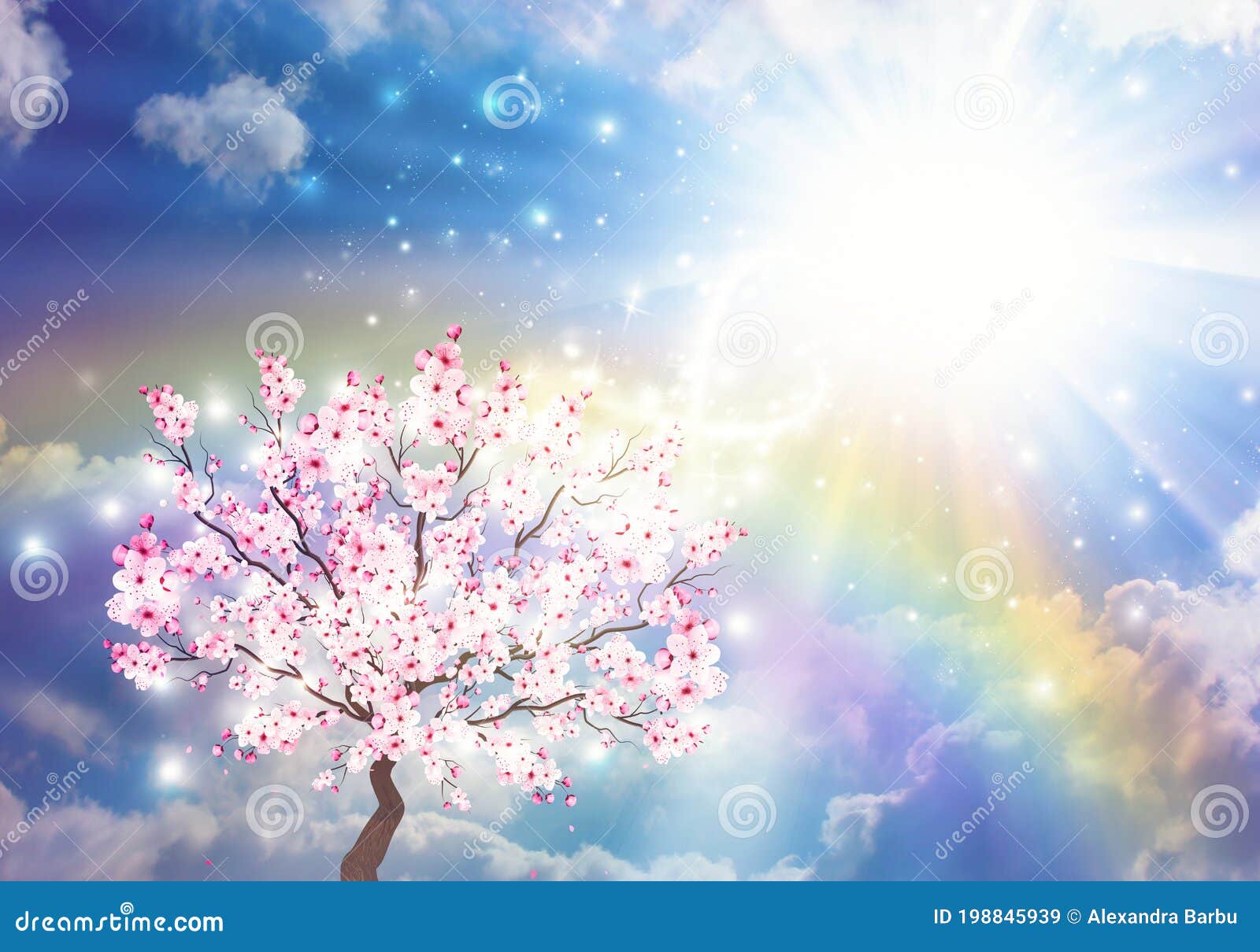 wish tree, spiritual healing, rainbow on sky over clouds, bright sun aura