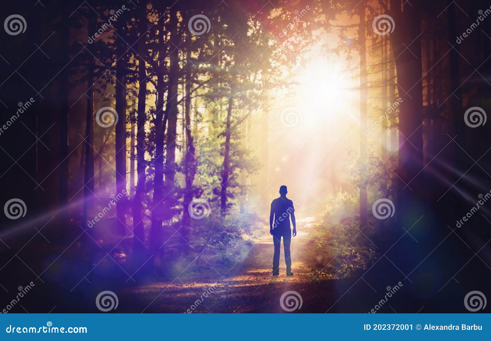 man silhouette walking up path towards the sun light magic forest