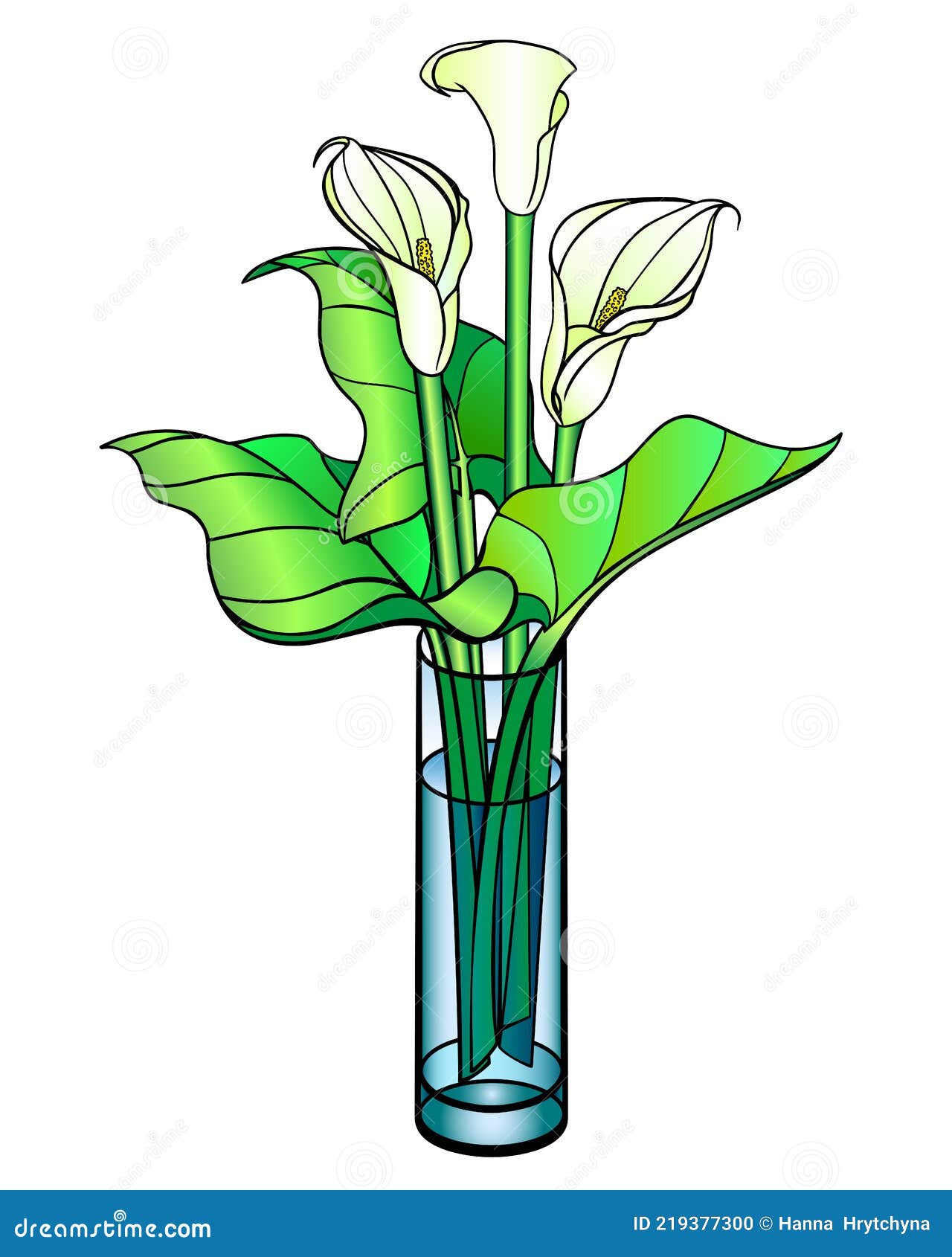 Callas In A Vase. Calla, Lily With Leaves. Flowers In A Glass Vase