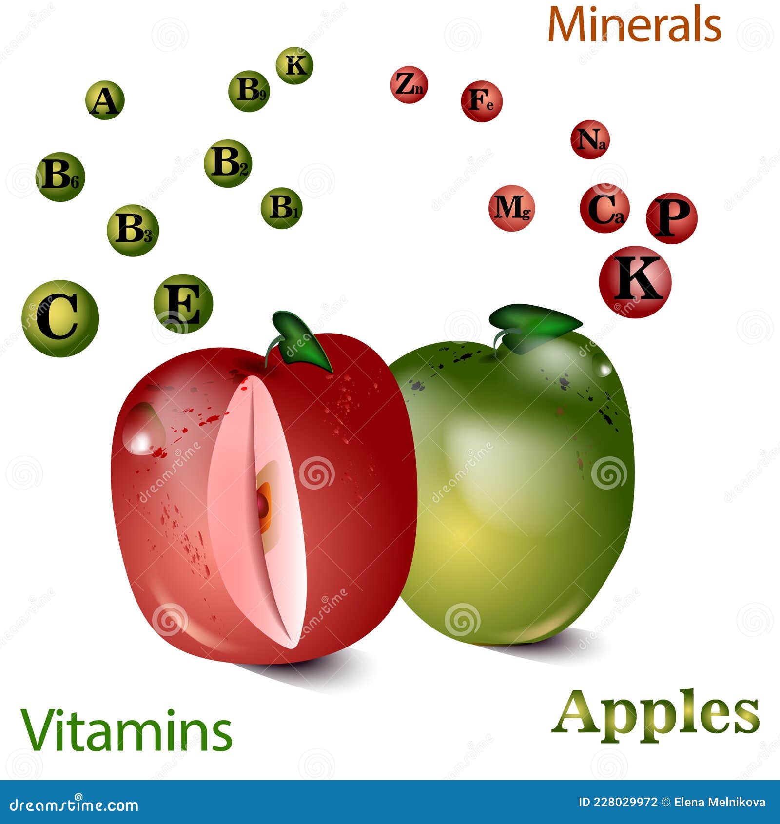 Vitamins and Minerals of Apple Stock Vector Illustration of source
