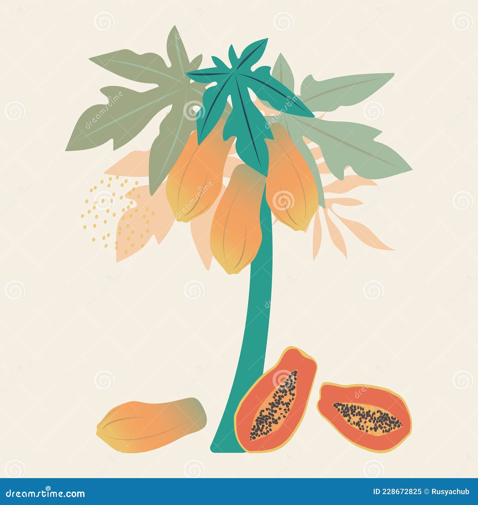 Tropical Papaya Fruits Hang on a Tree with Leaves Stock Vector