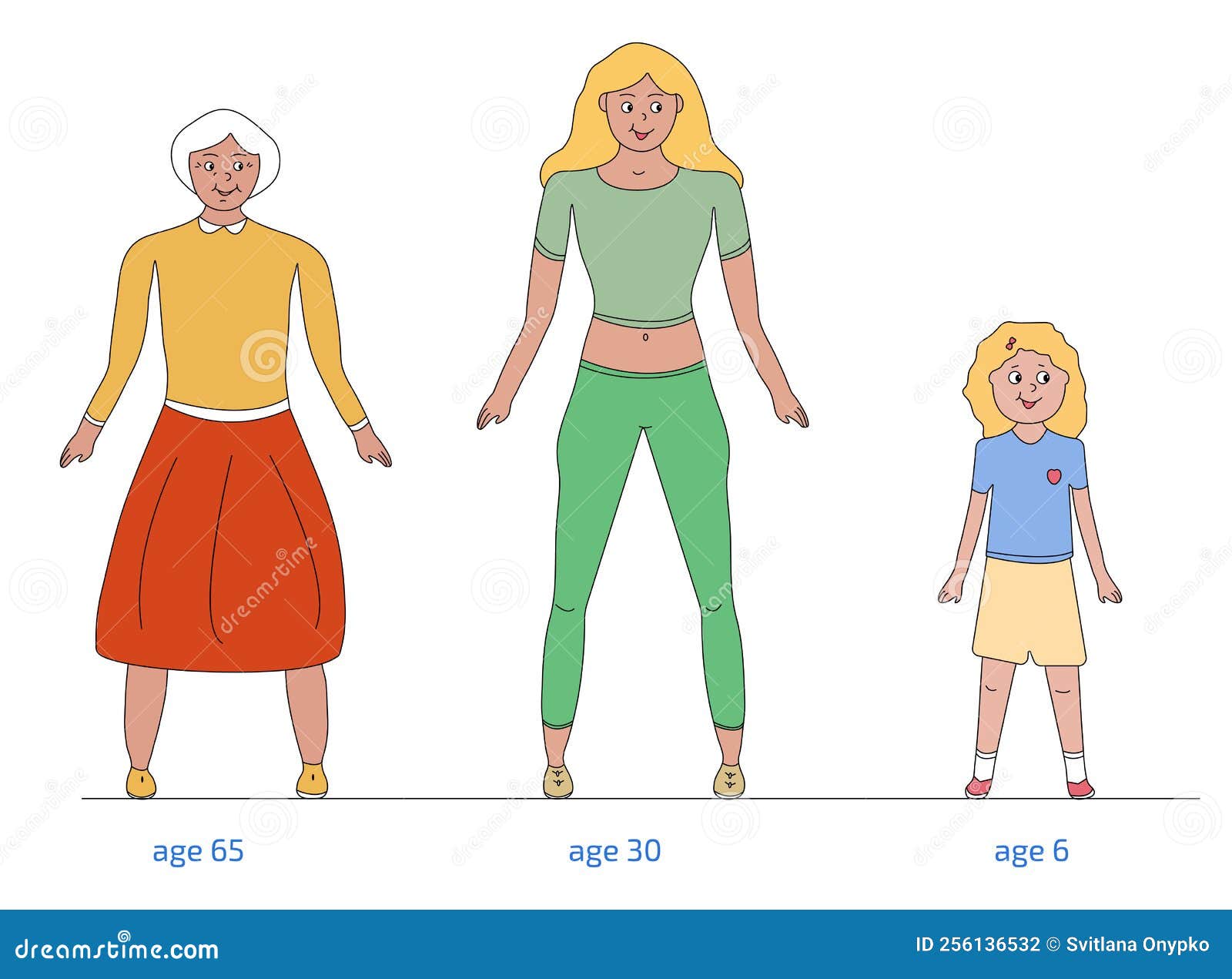 Woman S Age How the Body Changes Stock Vector Illustration of model