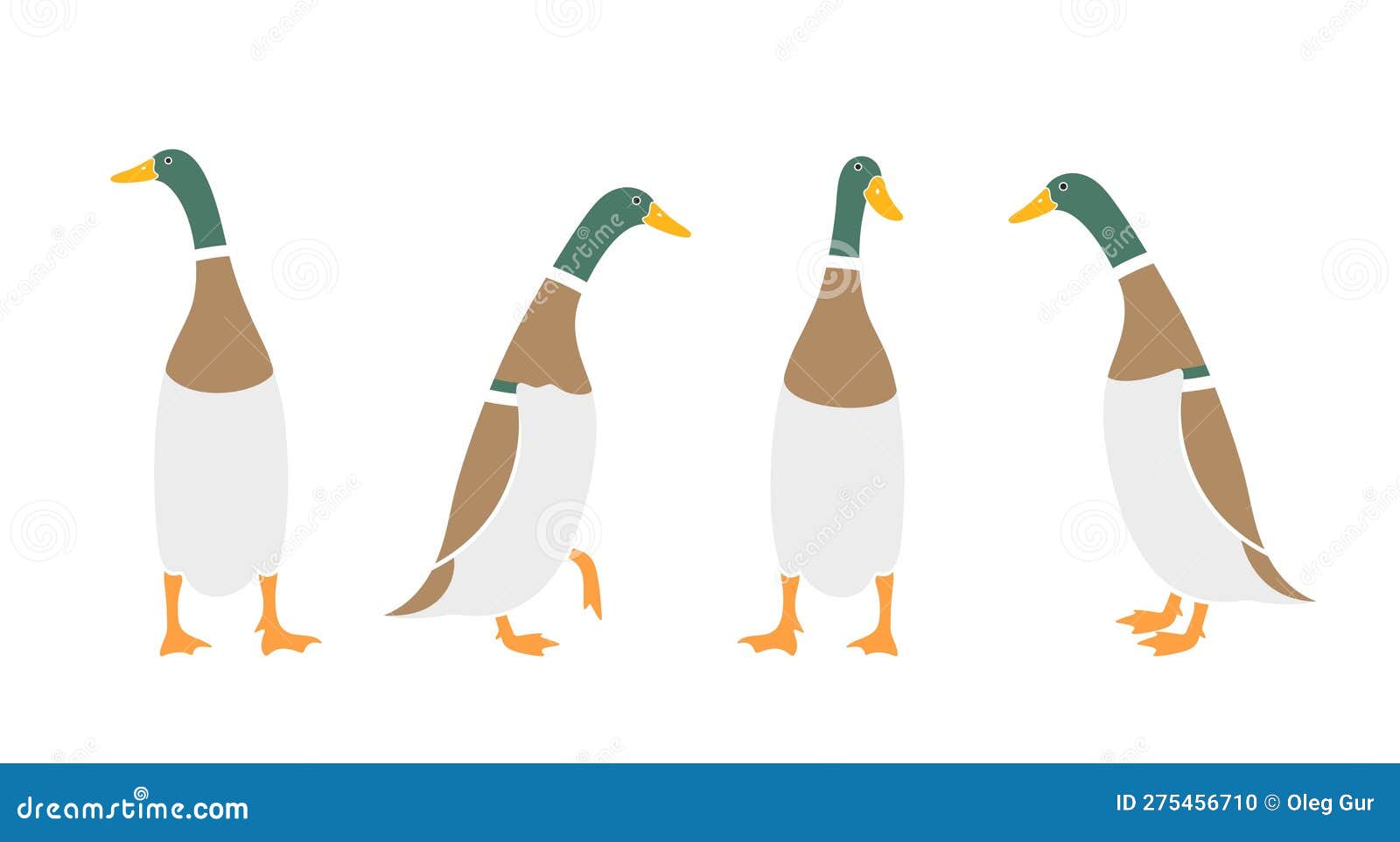 Indian Runner Ducks Logo. Isolated Indian Runner Ducks on White Background Stock Vector