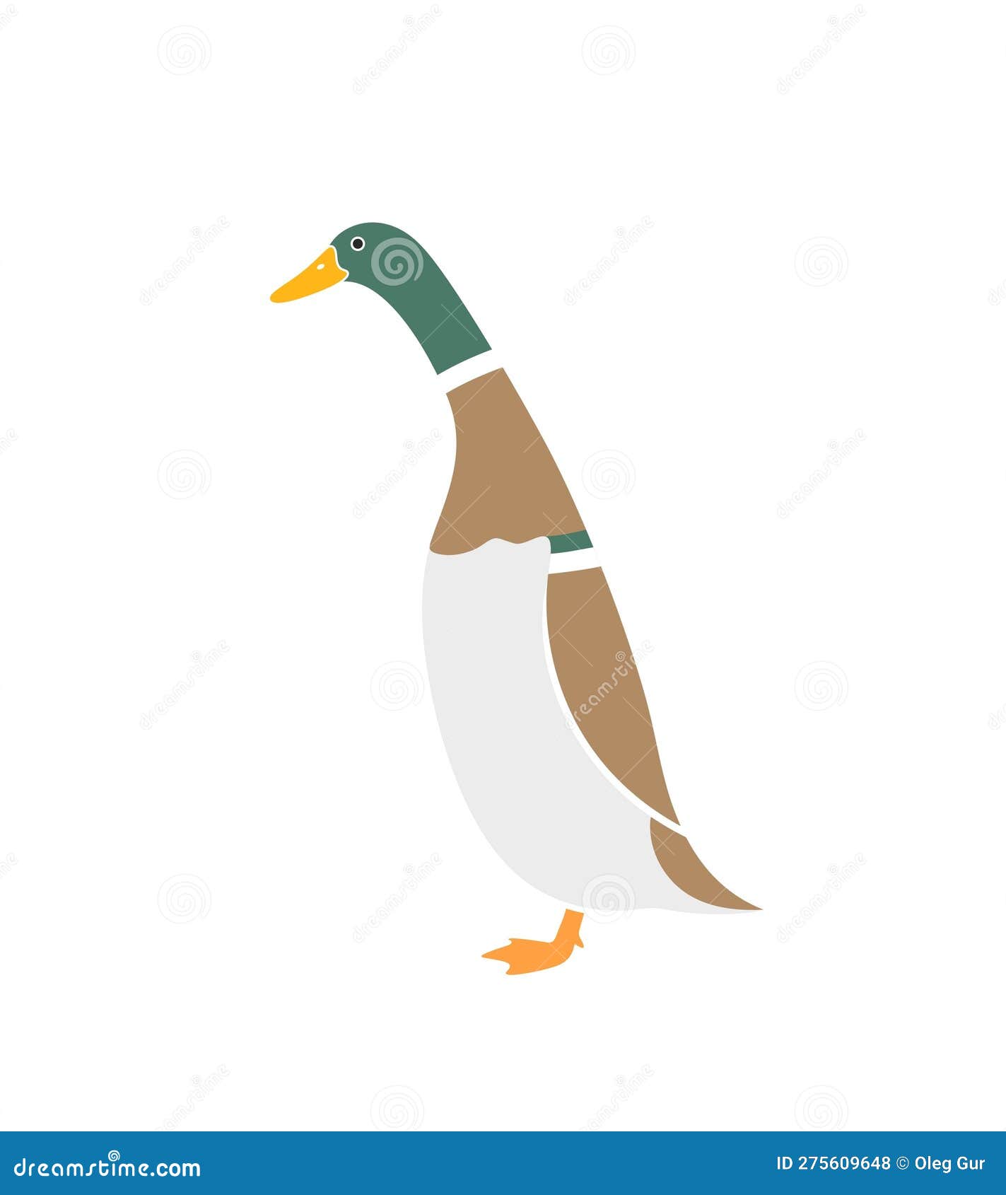Indian Runner Ducks Logo. Isolated Indian Runner Ducks on White