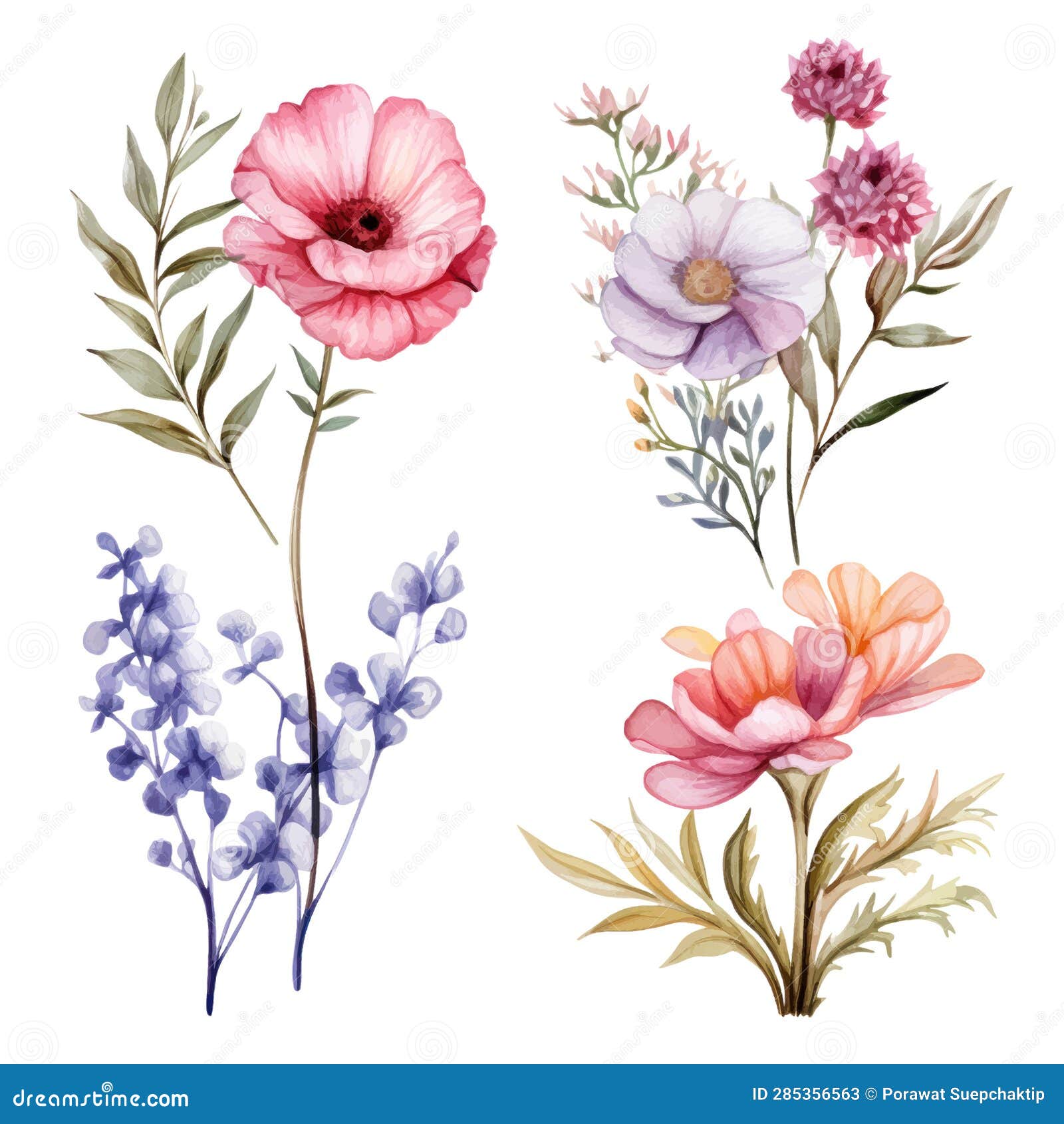 Set of 4 Bouquet Flowers Watercolor Stock Image - Image of blossom ...