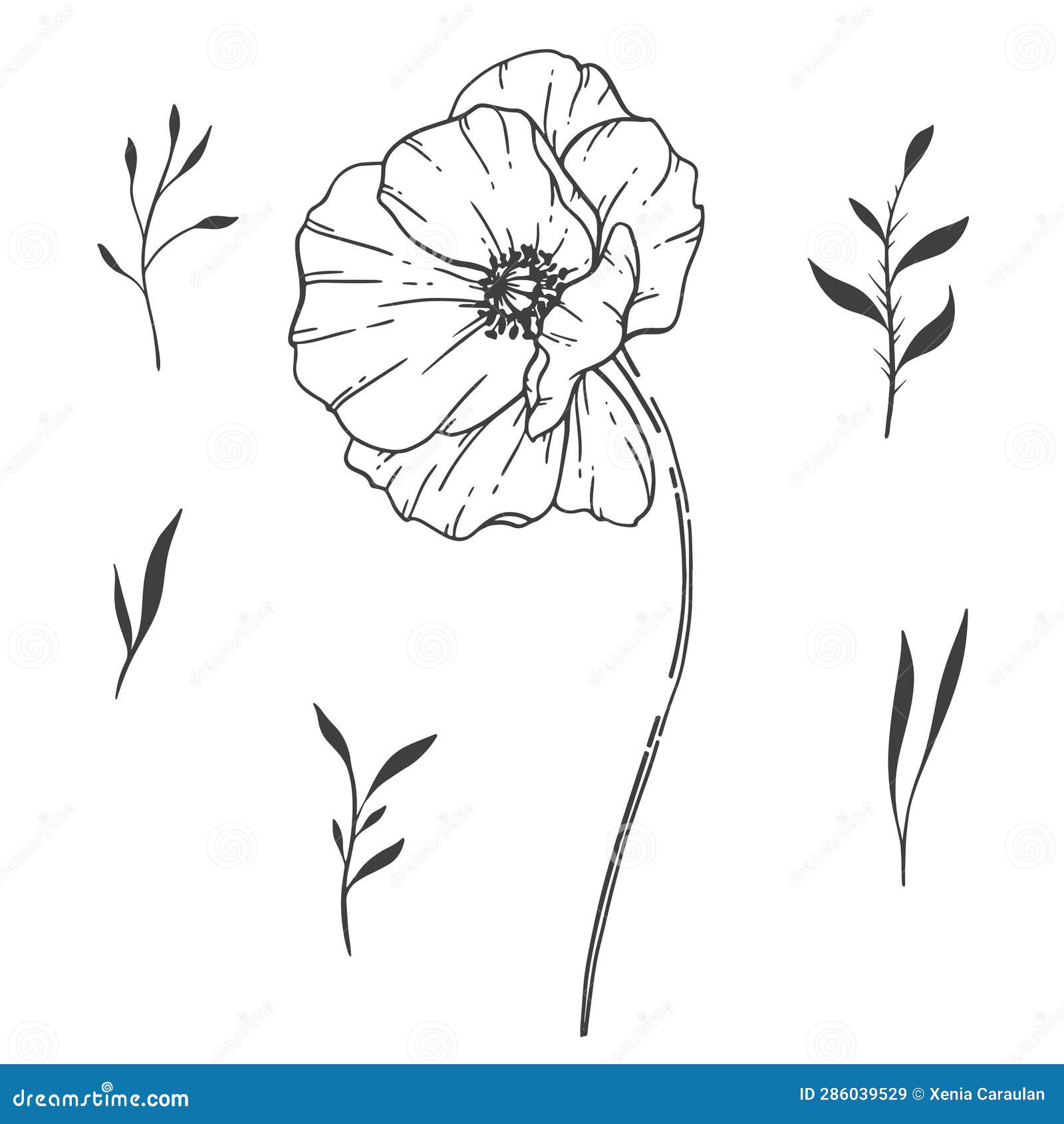 Poppy Flower Line Art, Fine Line Poppy Bouquets Hand Drawn Outline ...