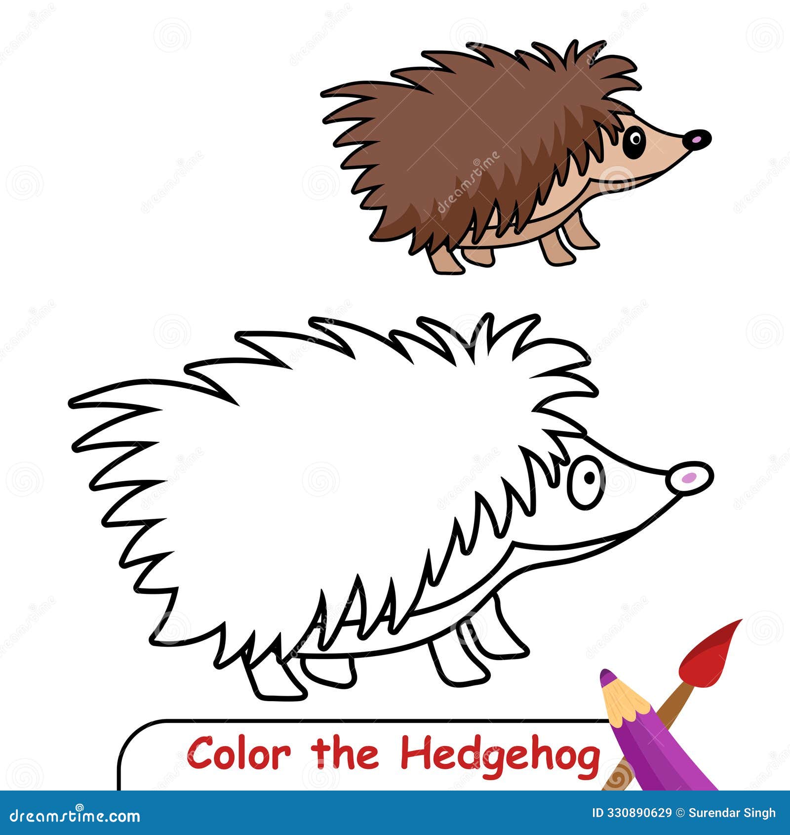 Hedgehog Coloring Page, Coloring Book For Kids, Hedgehog Isolated ...