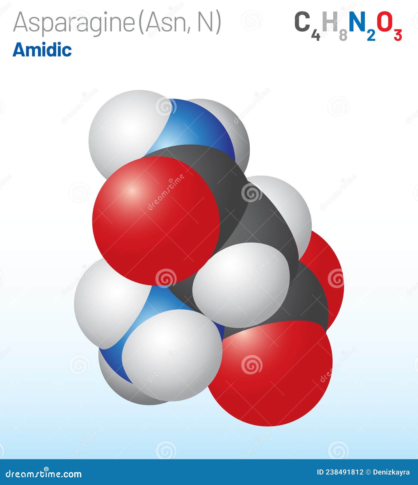 asparagine (asn, n) amino acid molecule. (chemical formula c4h8n2o3)