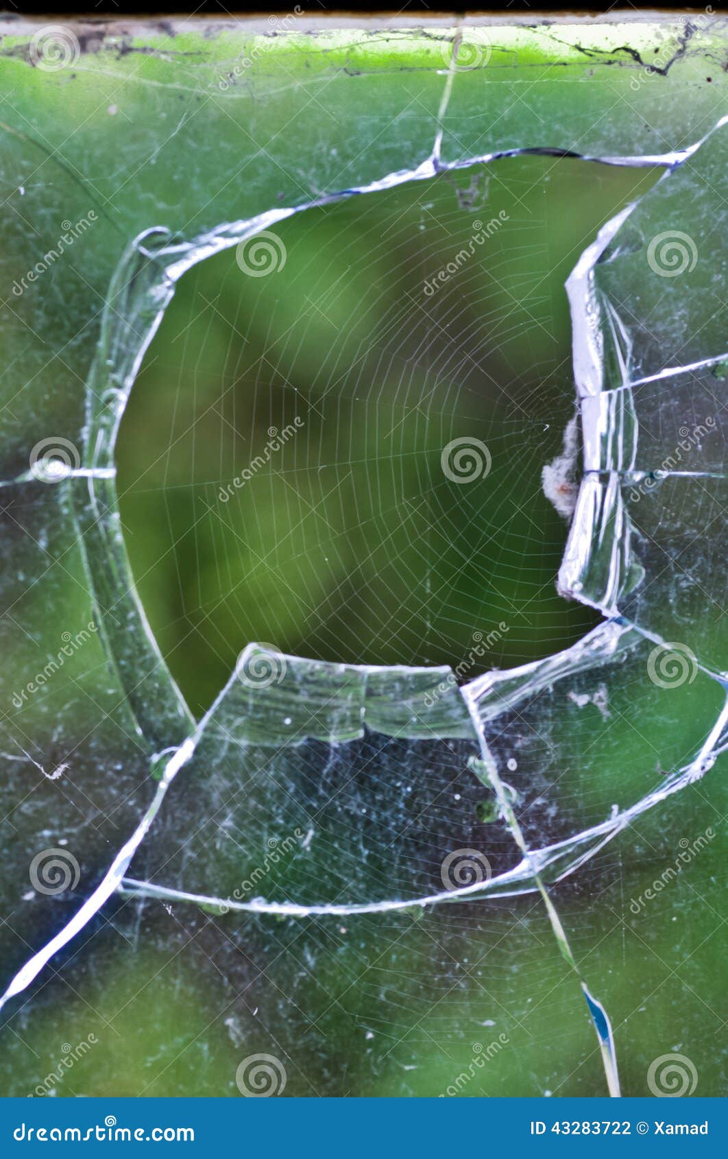 a web in a broken glass of a windows