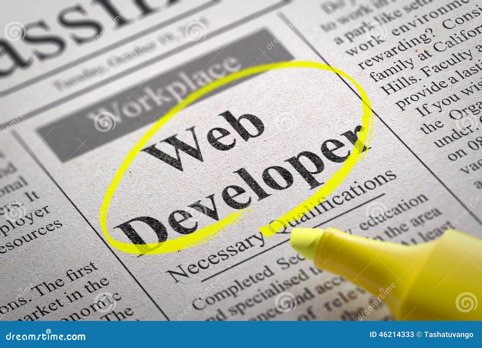 web developer jobs in newspaper.