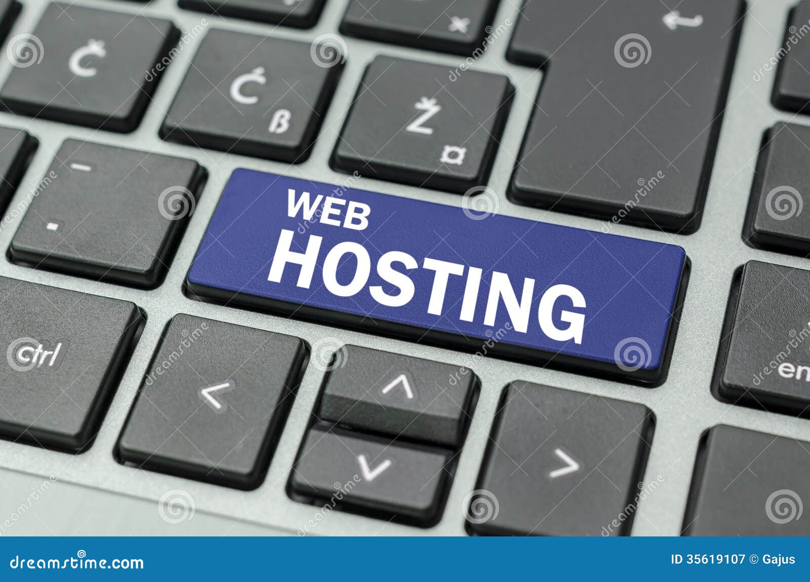 web hosting button