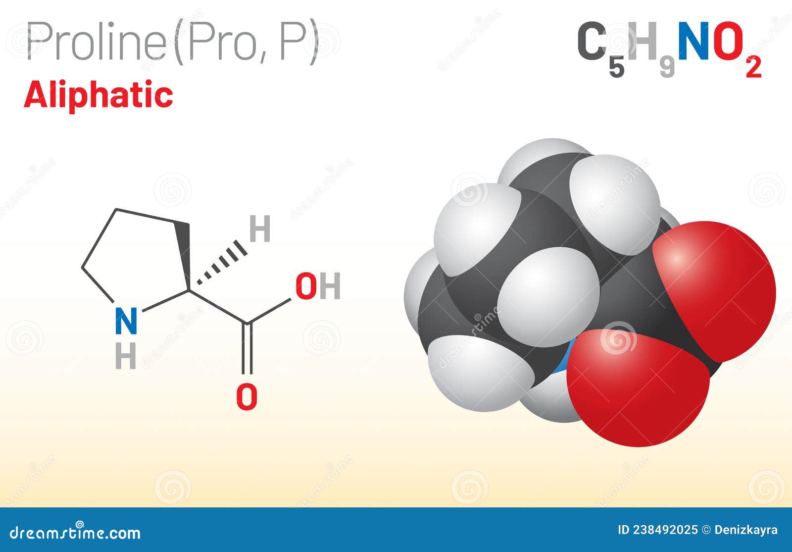 proline (pro, p) proteinogenic amino acid molecule. (chemical formula c5h9no2)