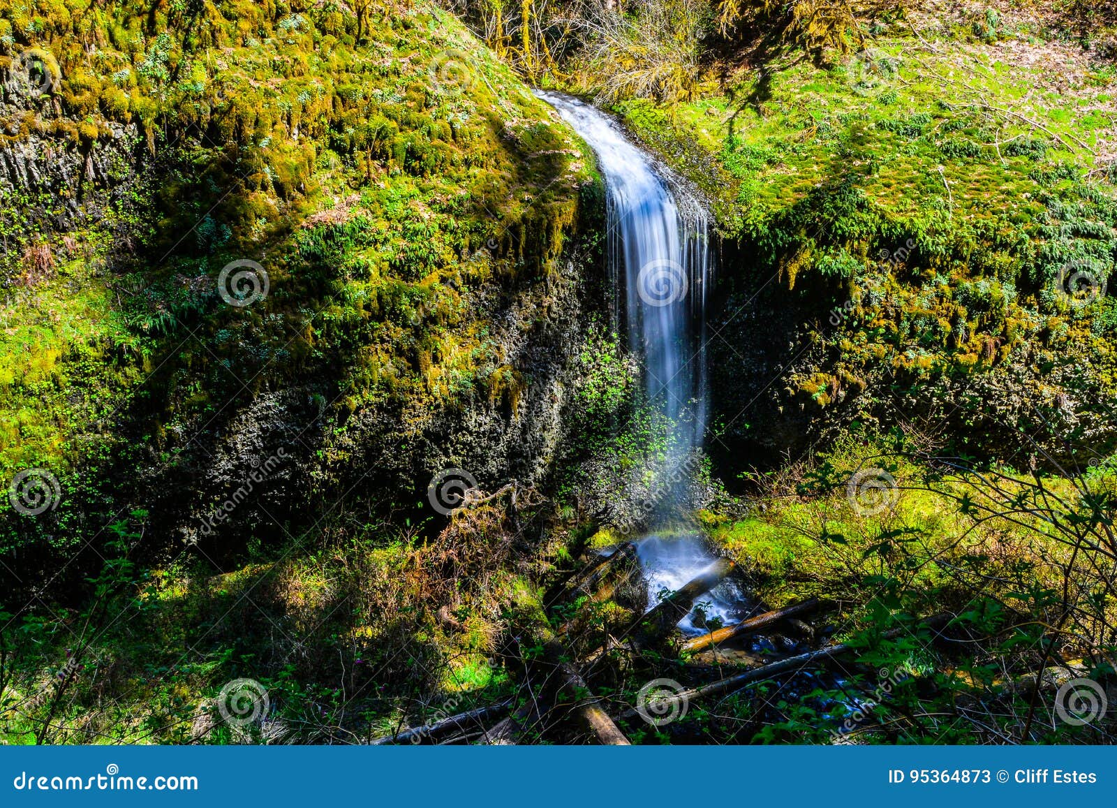 er Falls, Silver Falls State Park Stock Image Image of waterfalls