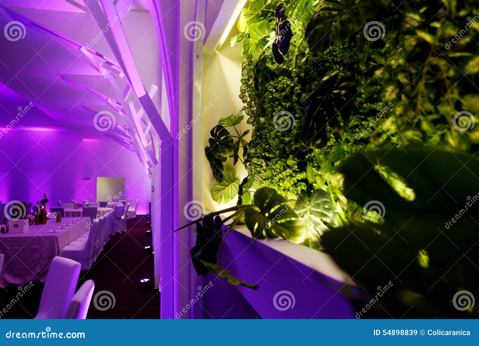 Green plants and archway details in a wedding ballroom