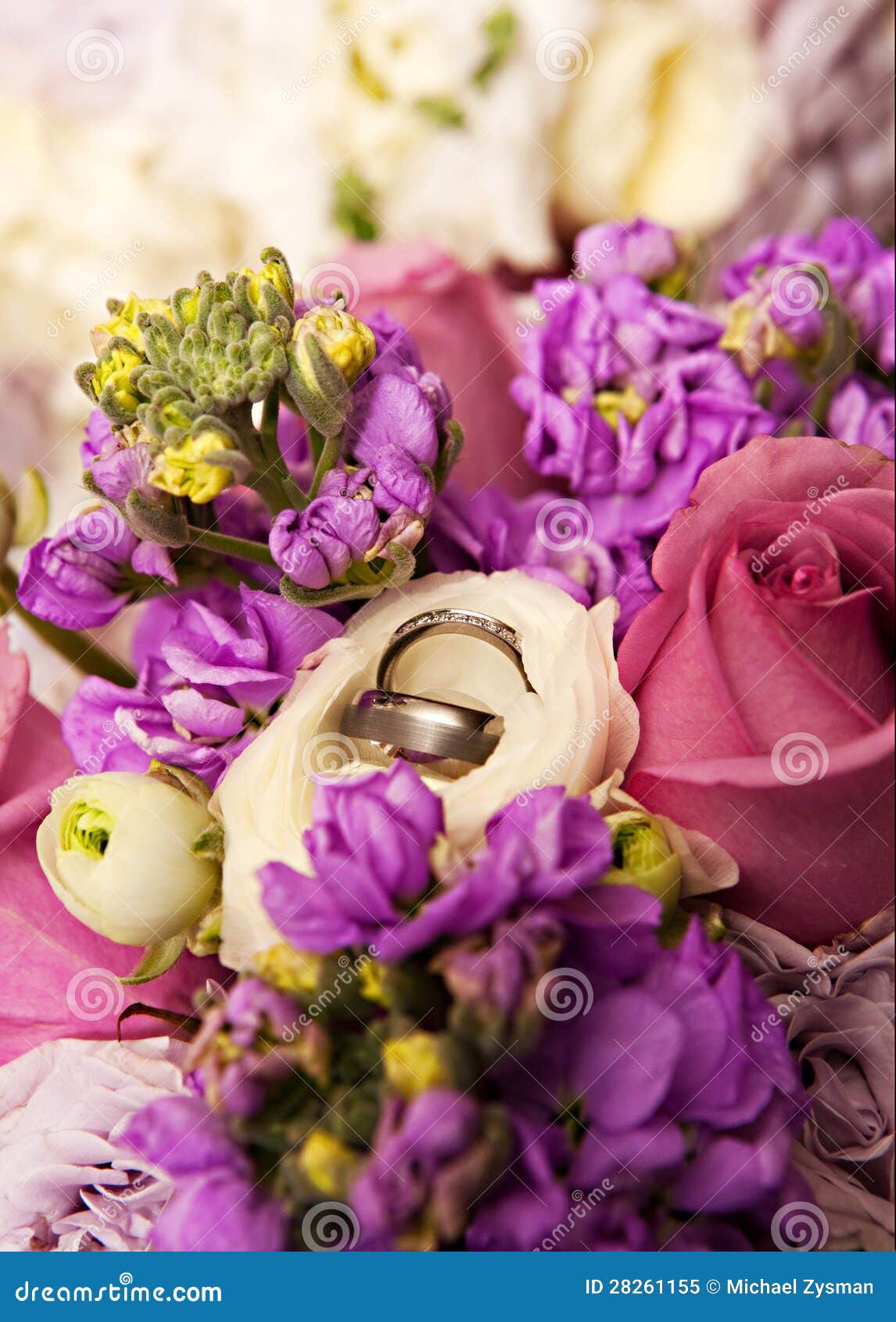 Wedding Bands stock image. Image of jewelery, proposal 28261155