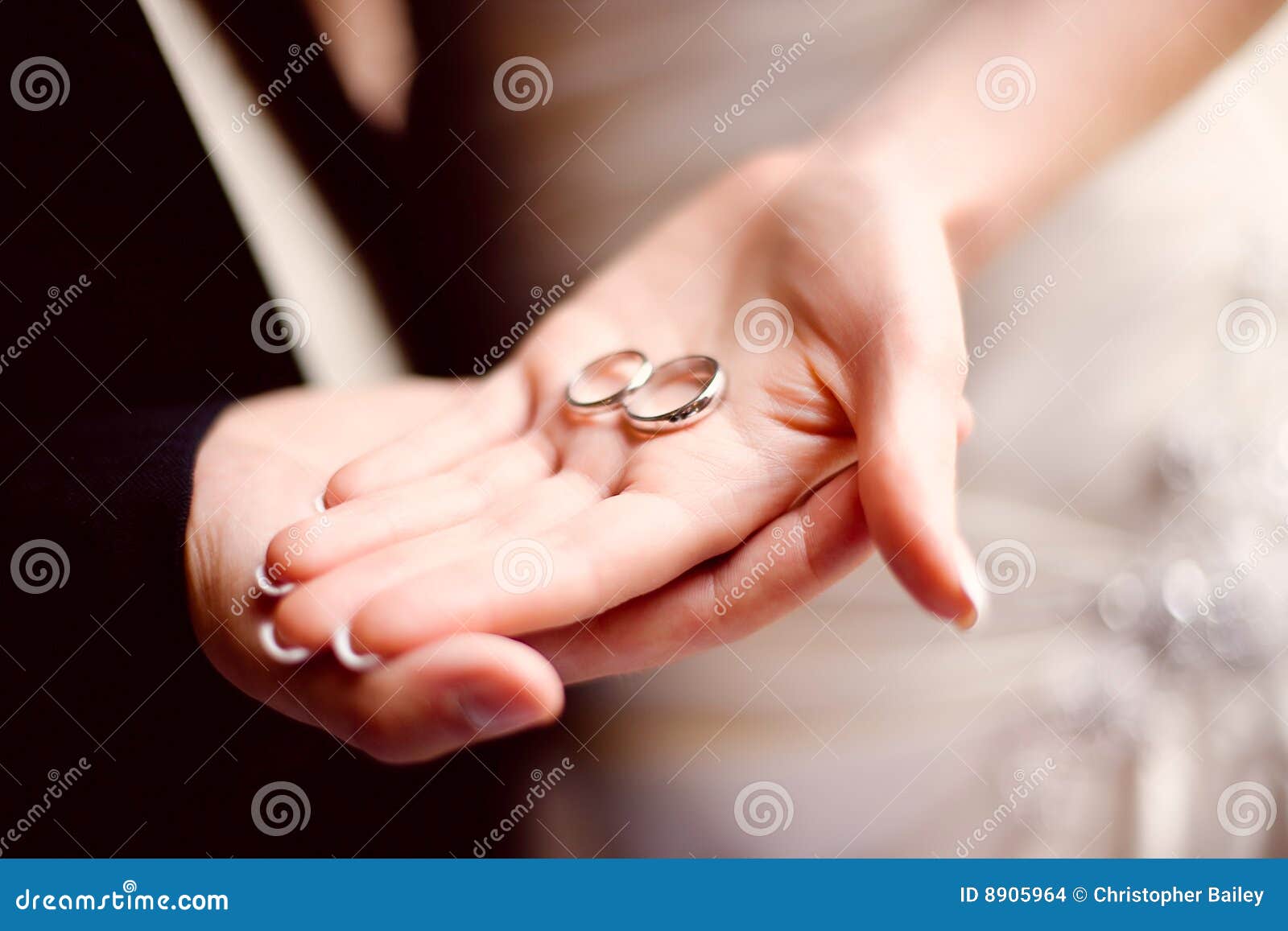 Wedding Bands in Hand stock photo. Image of wedding, love 8905964