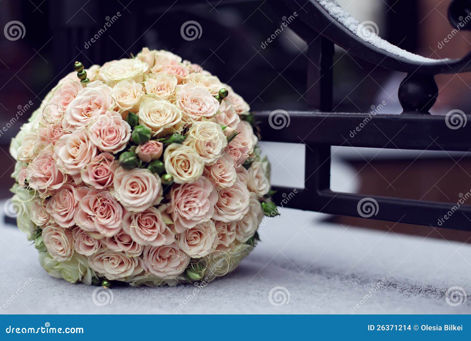Wedding Bouque on Snow Winter Outdoor Stock Photo Image of floral