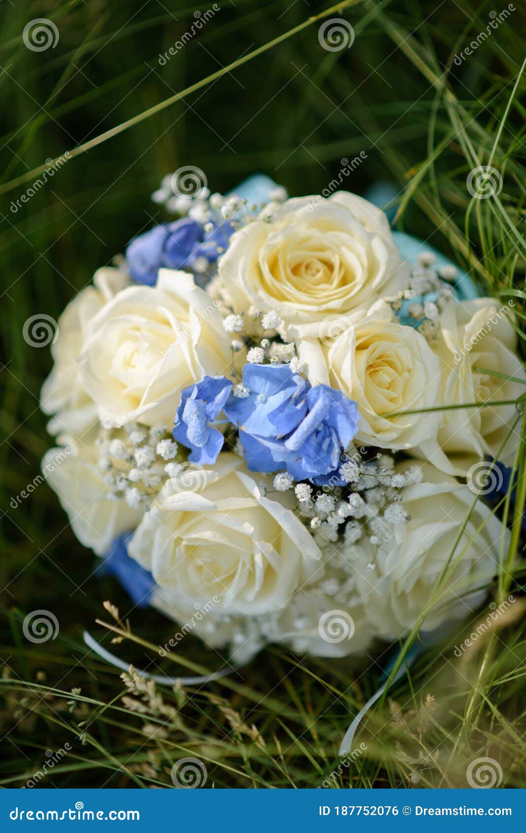 Wedding Bouquet for the Bride Stock Photo Image of bride, view 187752076