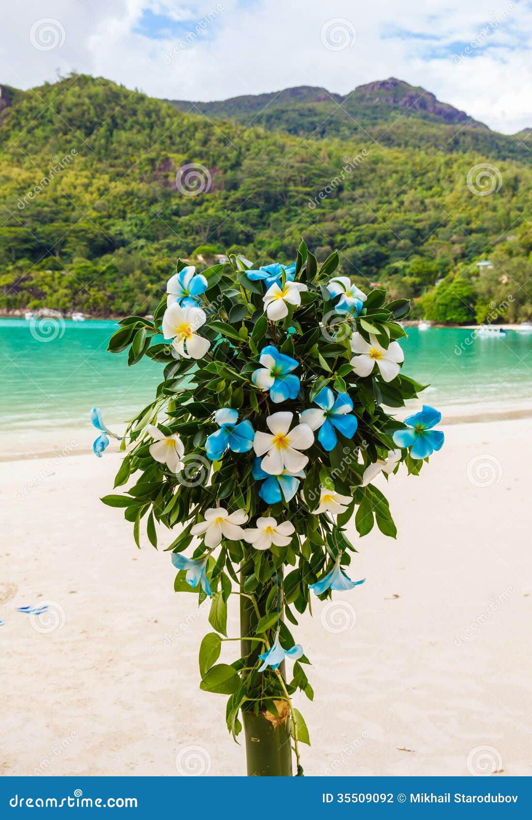 Wedding Bouquet of Frangipani Stock Photo Image of closeup, marriage