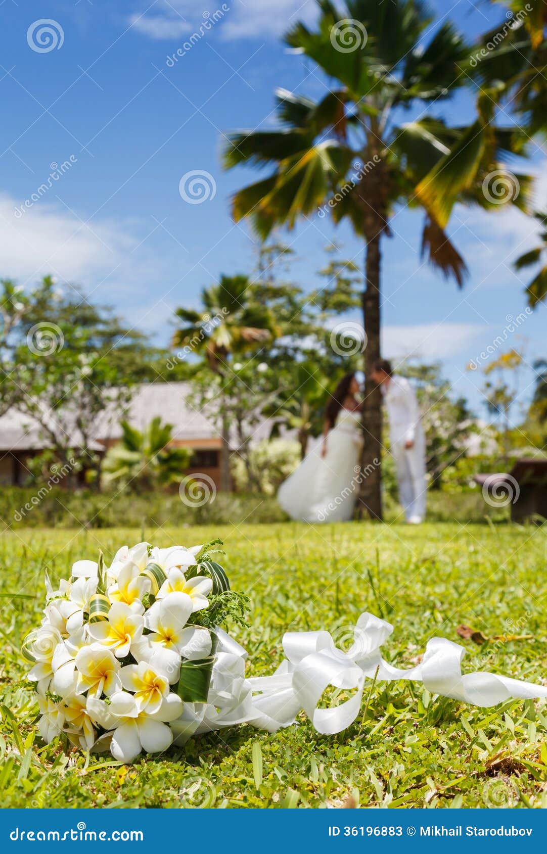 Wedding Bouquet of Frangipani Stock Image Image of colorful, love