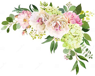 Wedding Bouquet. Peony, Hydrangea and Rose Flowers Watercolor Il Stock ...
