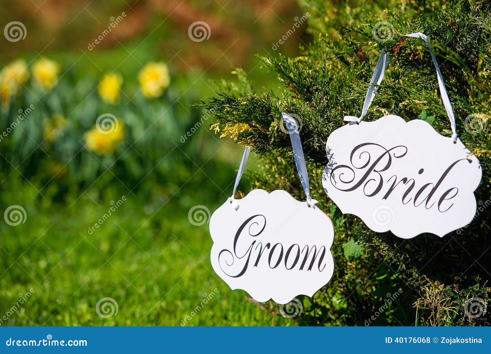 Wedding Bride and Groom Boards Outdoors Stock Photo Image of banner