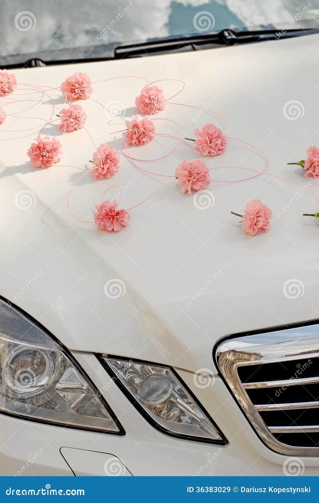 Wedding car decoration Stock Photos, Royalty Free Wedding car decoration  Images