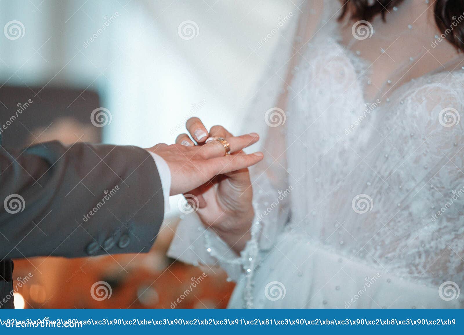 Wedding Ceremony, the Bride and Groom Wear Wedding Rings Stock Photo Image of happiness
