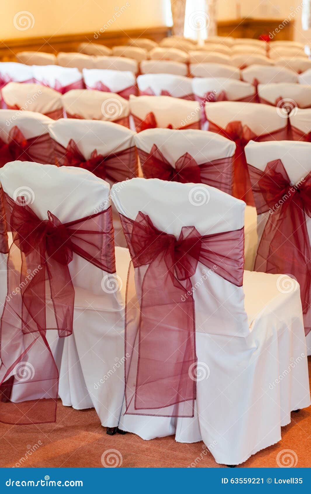 Wedding Chair Bows Stock Image Image Of Covers Image 63559221
