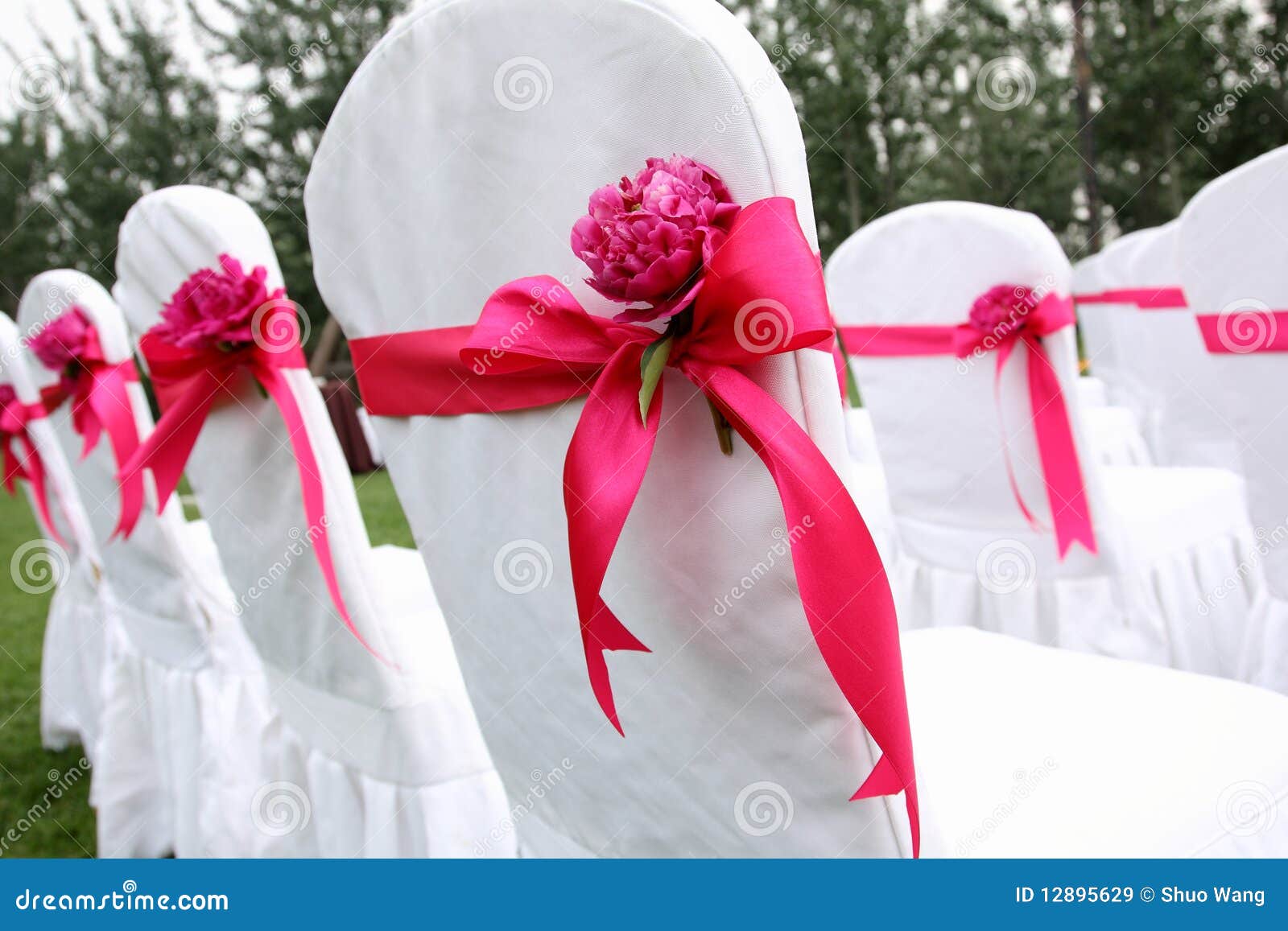 Wedding chairs stock image. Image of love, outdoors, flower 12895629
