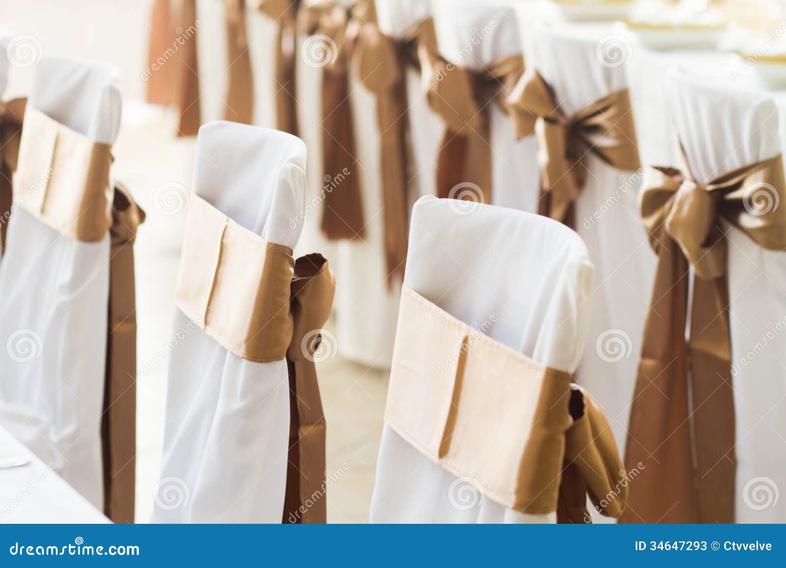 Rows Of Beautiful White And Clean Wedding Chairs Decorated With Stock Photo Picture And Royalty Free Image Image 126693144