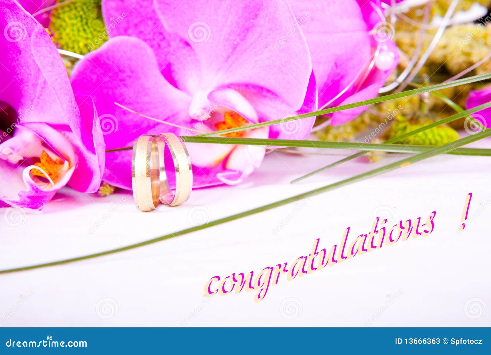 Wedding congratulations stock image. Image of bunch, greenery 13666363
