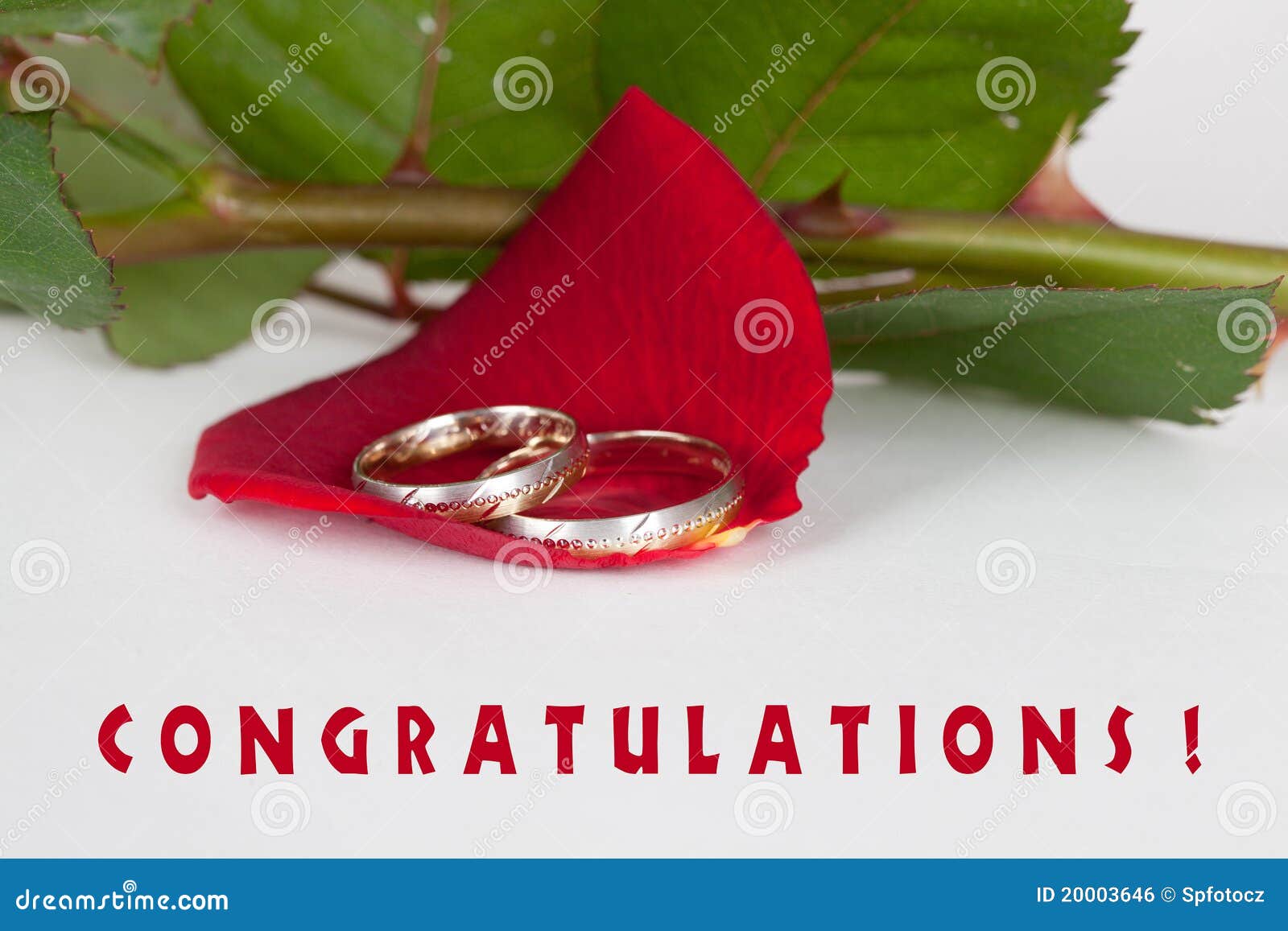 Wedding congratulations stock photo. Image of berries - 20003646