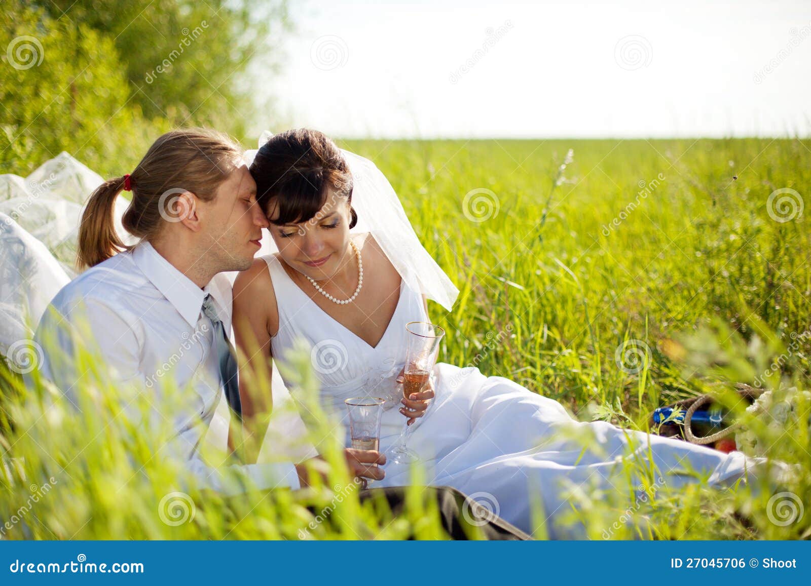 Wedding couple stock photo. Image of portrait, caucasian 27045706