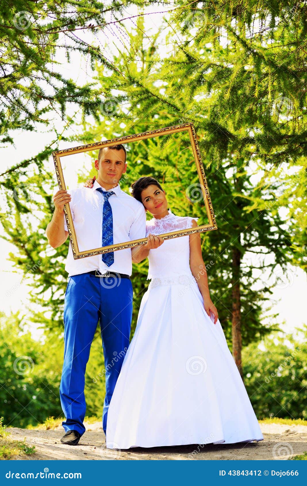 Wedding Couple in the Frame Stock Photo Image of bride, bridal 43843412