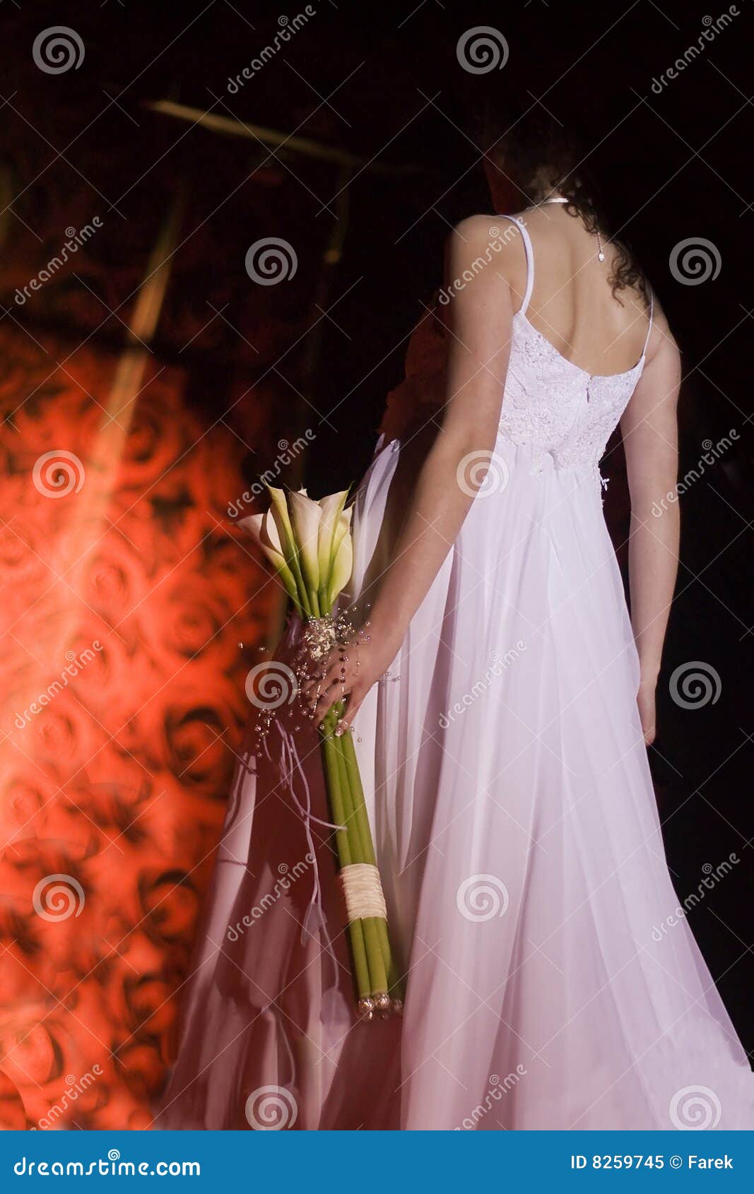 Wedding day dress detail stock image. Image of black, formal 8259745
