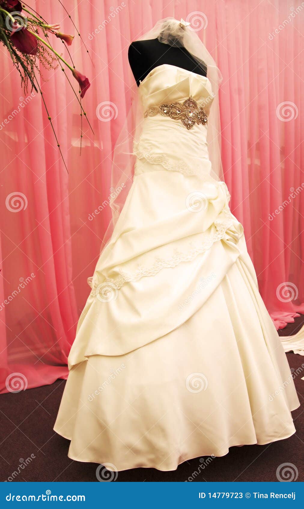 Woman Showing Panties While Bridal Gown Fitting In Wedding Fashion Store  Stock Photo, Picture and Royalty Free Image. Image 28495608.