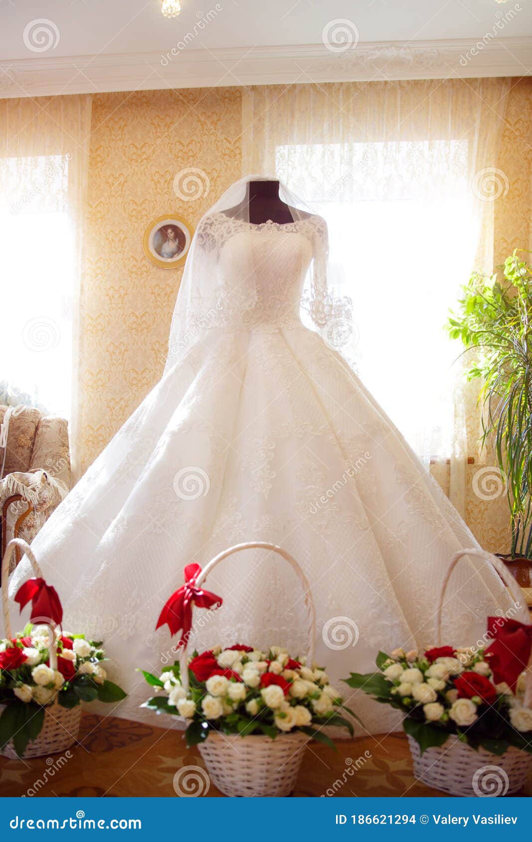 Wedding Dress at the Bride on the Wedding Day Stock Photo Image of