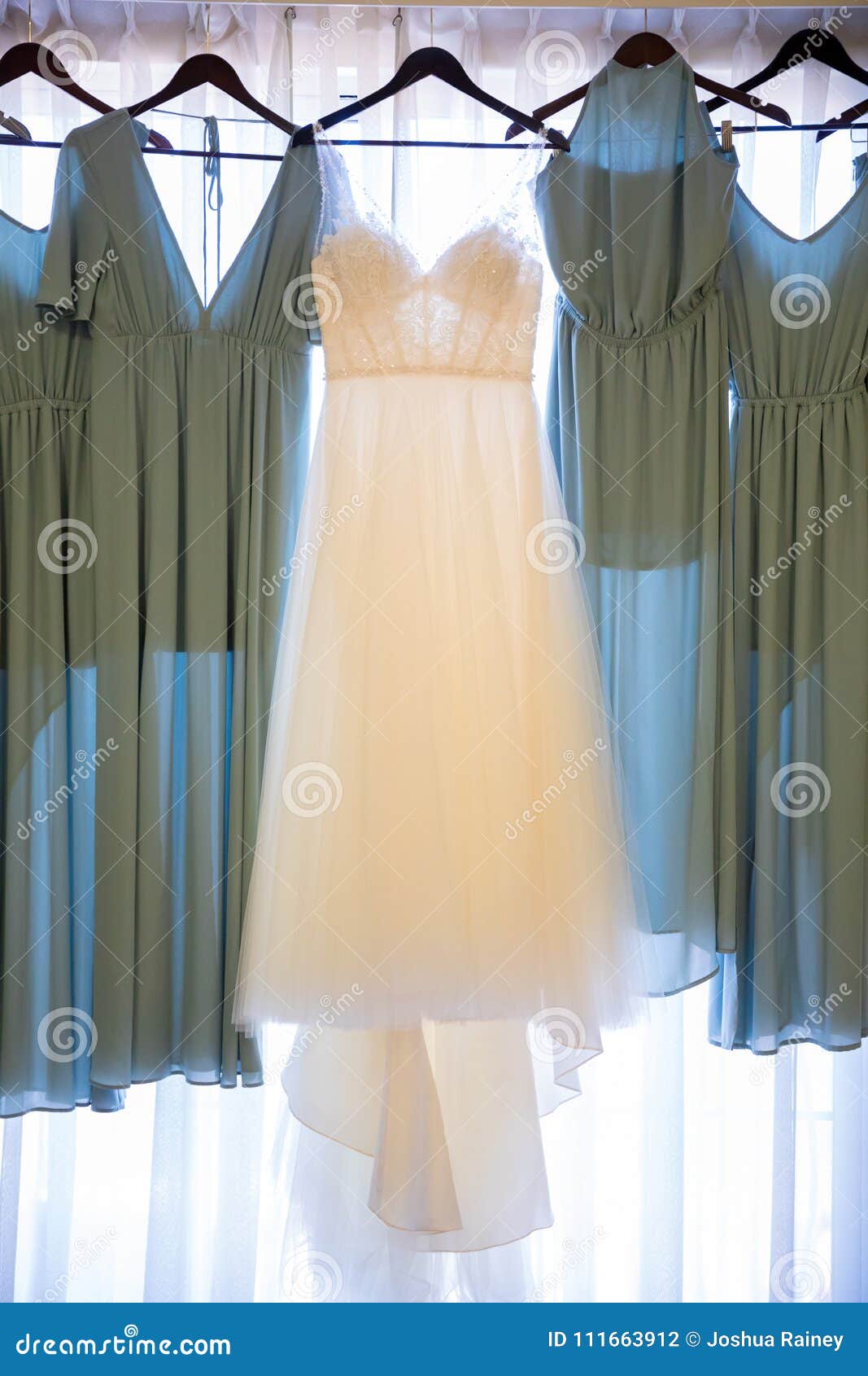 Wedding Dress and Bridesmaid Dresses Stock Photo - Image of california ...