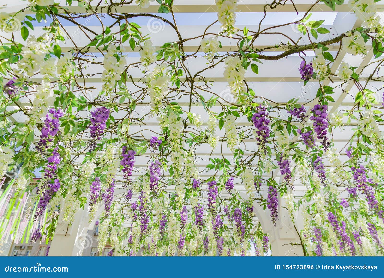 roses hanging from ceiling