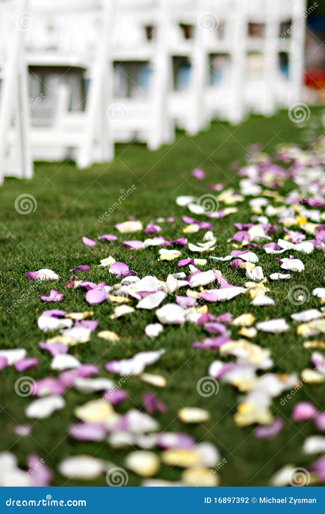 Wedding flower petals stock photo. Image of marriage 16897392
