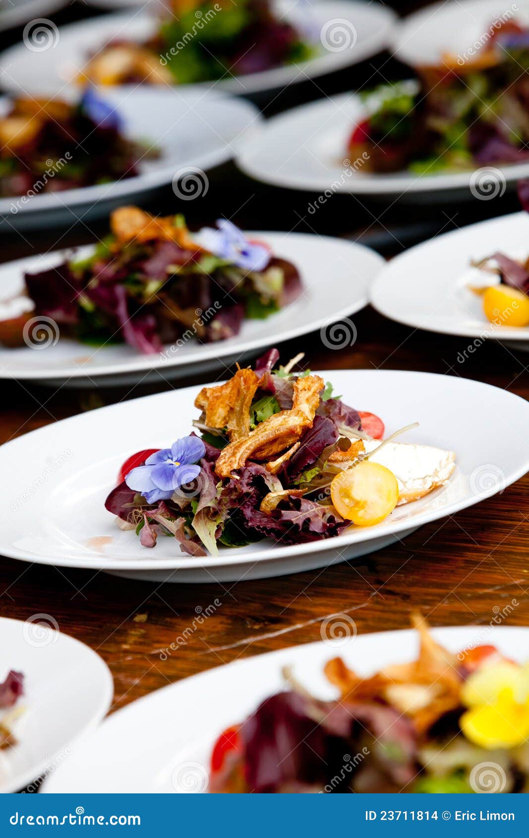Wedding food preperation stock photo. Image of serving - 23711814, image size:1067x1690