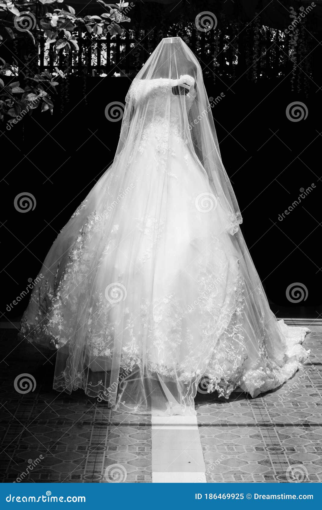 Wedding Gown in Black and White Stock Image - Image of woman, bride ...