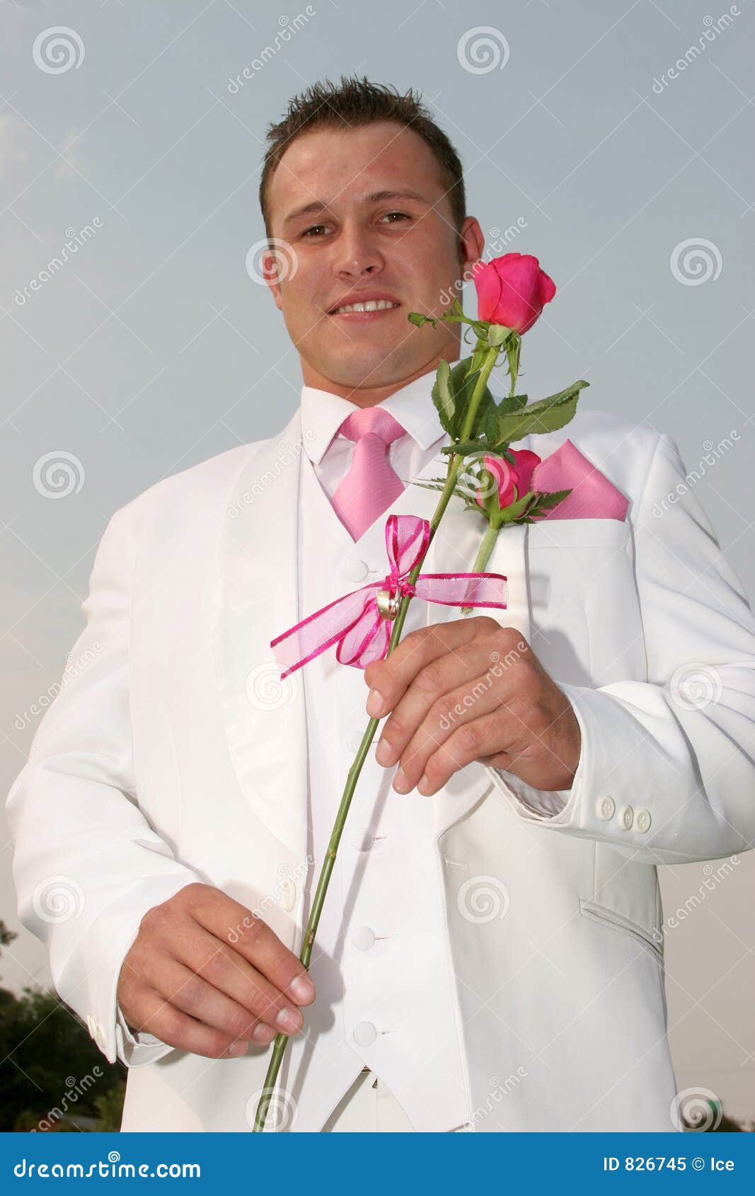 Wedding Groom stock image. Image of bridal, dream, formal 826745