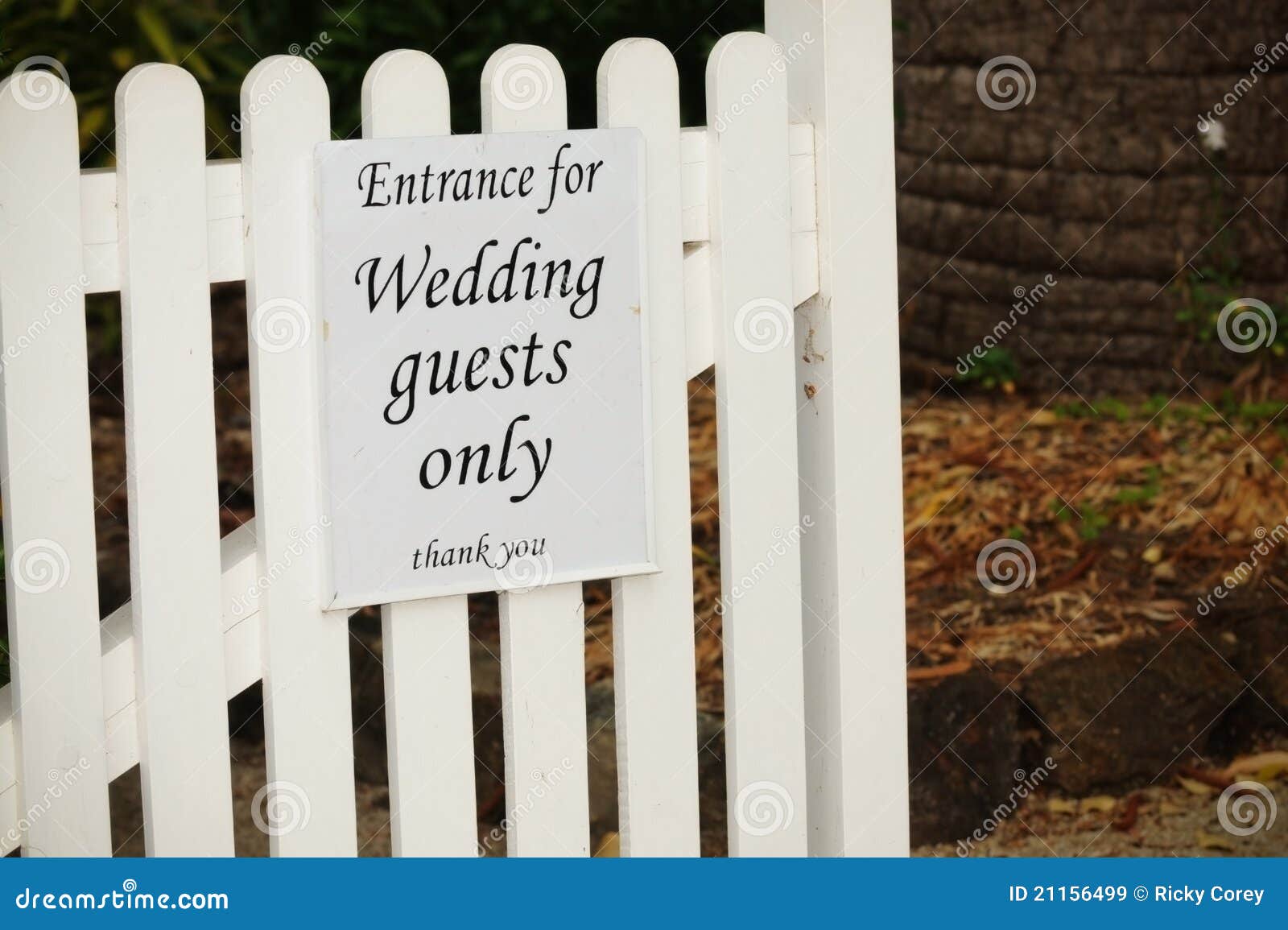 wedding guests only